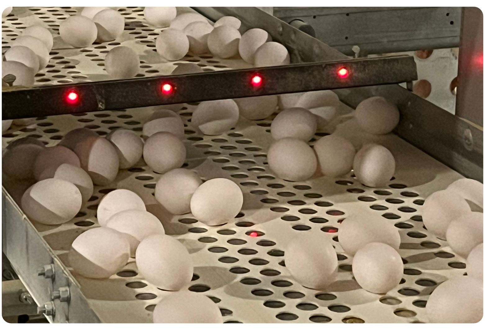Infrared Egg Counter- IR3e-IR48_house1 resize.png